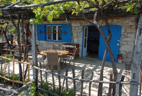 Casa Delle Olive